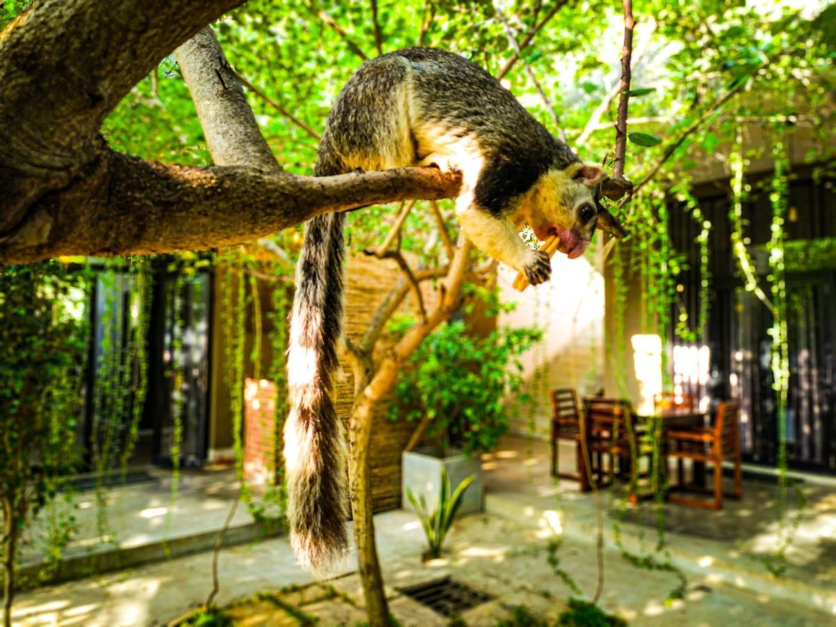 أنرادابورام Isi Arana Eco Villa المظهر الخارجي الصورة